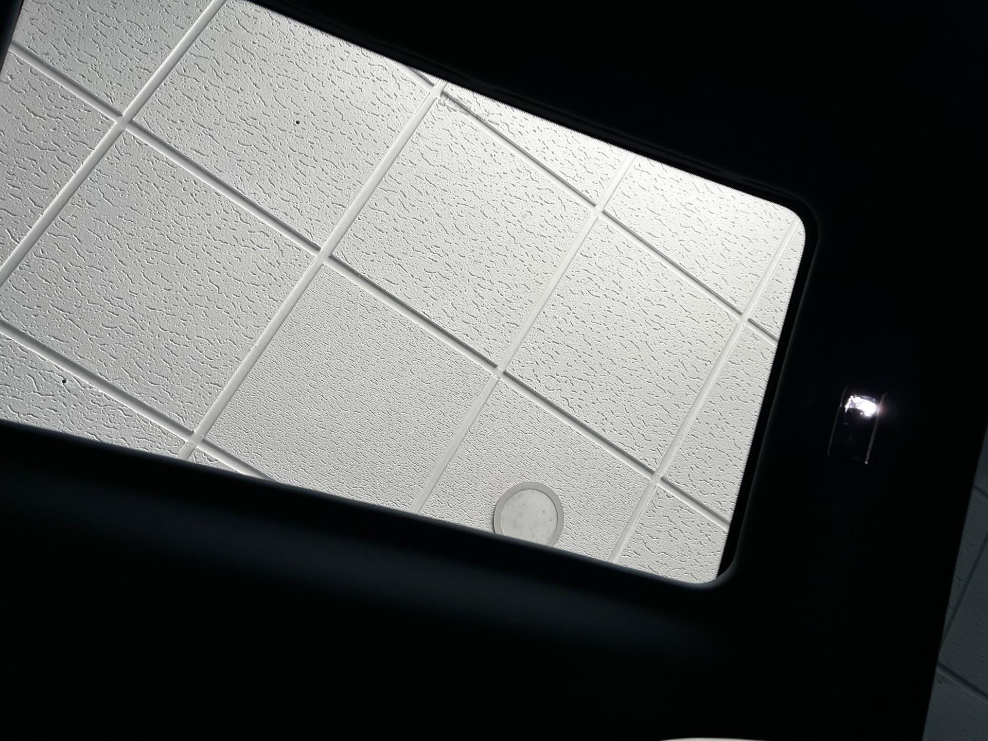 Detalle del techo acristalado del DS 5